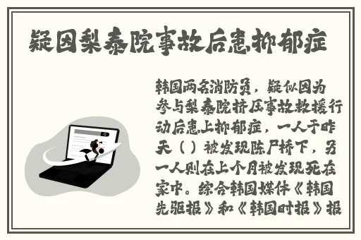 精品久久久久久中文字幕乱码